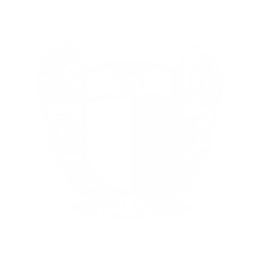 FC Famalicão
